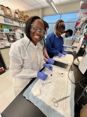 Zoe performs dissections